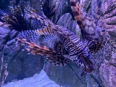 -成都浩海立方海洋公园