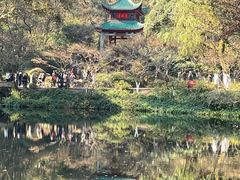 -岳麓山风景名胜区