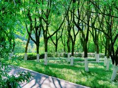 -重庆中央公园(渝北区)