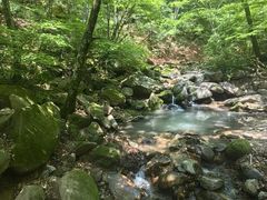 -本溪汤沟绿石谷森林公园