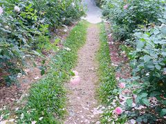 -人民公园(罗湖区)