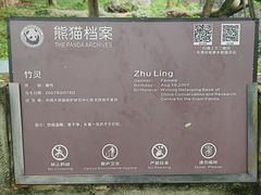 -都江堰中华大熊猫苑