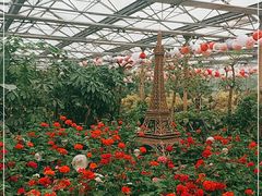 -南宫五洲植物乐园