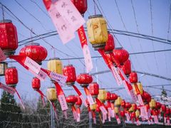 -大槐树寻根祭祖园
