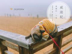 -威海国际海水浴场旅游区