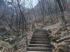-西安祥峪森林公园