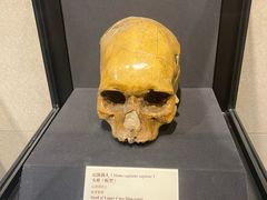 -北京周口店北京人遗址博物馆
