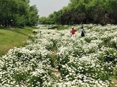 -汉长安城未央宫国家考古遗址公园