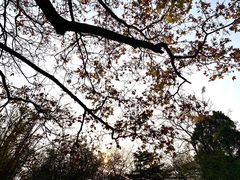 -八大关景区