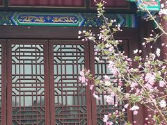 -济南大明湖景区