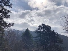 -黄龙山原始森林景区