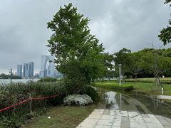 -金鸡湖景区