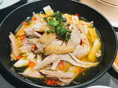 椒麻土鸡-小厨娘淮扬菜(奥体博览中心奥美店)