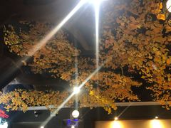 -松针蔡记蒸饺(花园路店)