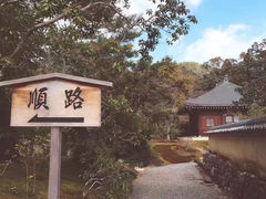 -奈良公园