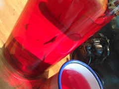 -有才叔的小馆(招商依云曲江店)