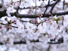 -龙美术馆(西岸馆)