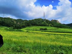 -塞罕坝国家级自然保护区