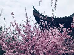 -堤角公园