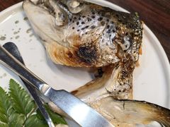 -黑松白鹿(金融街店)