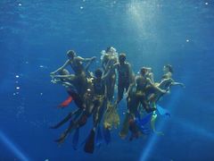 -成都浩海立方海洋公园