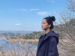 -广州市流溪河国家森林公园