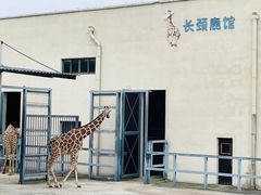 -上方山森林动物世界