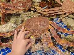 -高佳庄·海鲜酒楼(定海店)