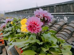 -金谷里艺术馆
