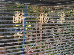 -广州神农草堂中医药博物馆