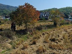 -塔川景区