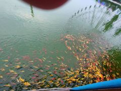 -海上明珠主题乐园