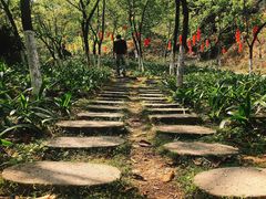 -广州市帽峰山景区