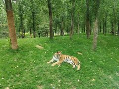 -北京野生动物园