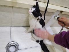 -暖阳宠物医院·犬猫康复中心·骨科