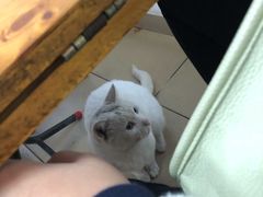 -甜甜屋(解放中路店)