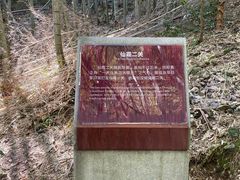 -仙霞关景区