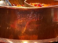 -镇江龙·火锅串串(武侯祠店)