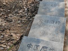 -北京麋鹿生态实验中心