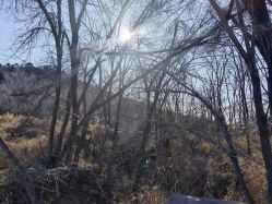 -浅山蜜塘奇妙乐园·亲子营地