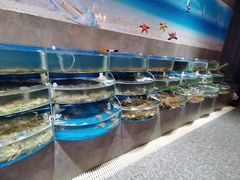 水产区-蓝珊甄选海鲜自助·火锅大排档(近阿那亚店)