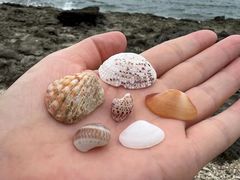 -三亚西岛海洋文化旅游区
