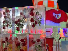 -盛京大奥莱(沈阳奥体店)
