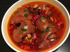 小资美容蹄-小资太太餐厅(南岗区店)