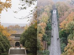 -灵谷景区