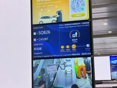 -上海浦东国际机场-T2航站楼