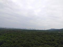 -灵谷景区