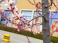 -王府井奥莱临潼小镇(临潼店)