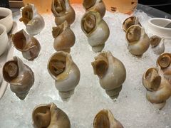 -亮马河饭店翠雅咖啡厅