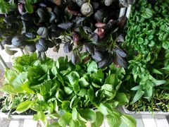 -山东八大碗山东老字号